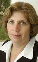 Vhoffman, anat