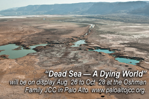 Dead Sea A Dying World