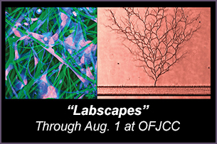 CalendarLabscapes