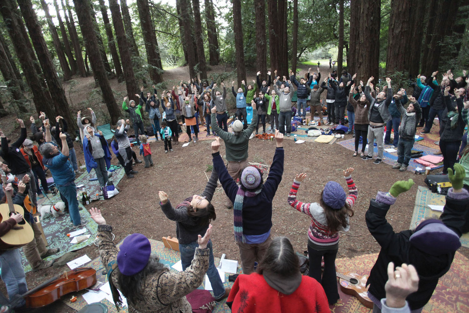 Tu B’Shevat in the Redwoods, 2016 (Photo/Wilderness Torah)