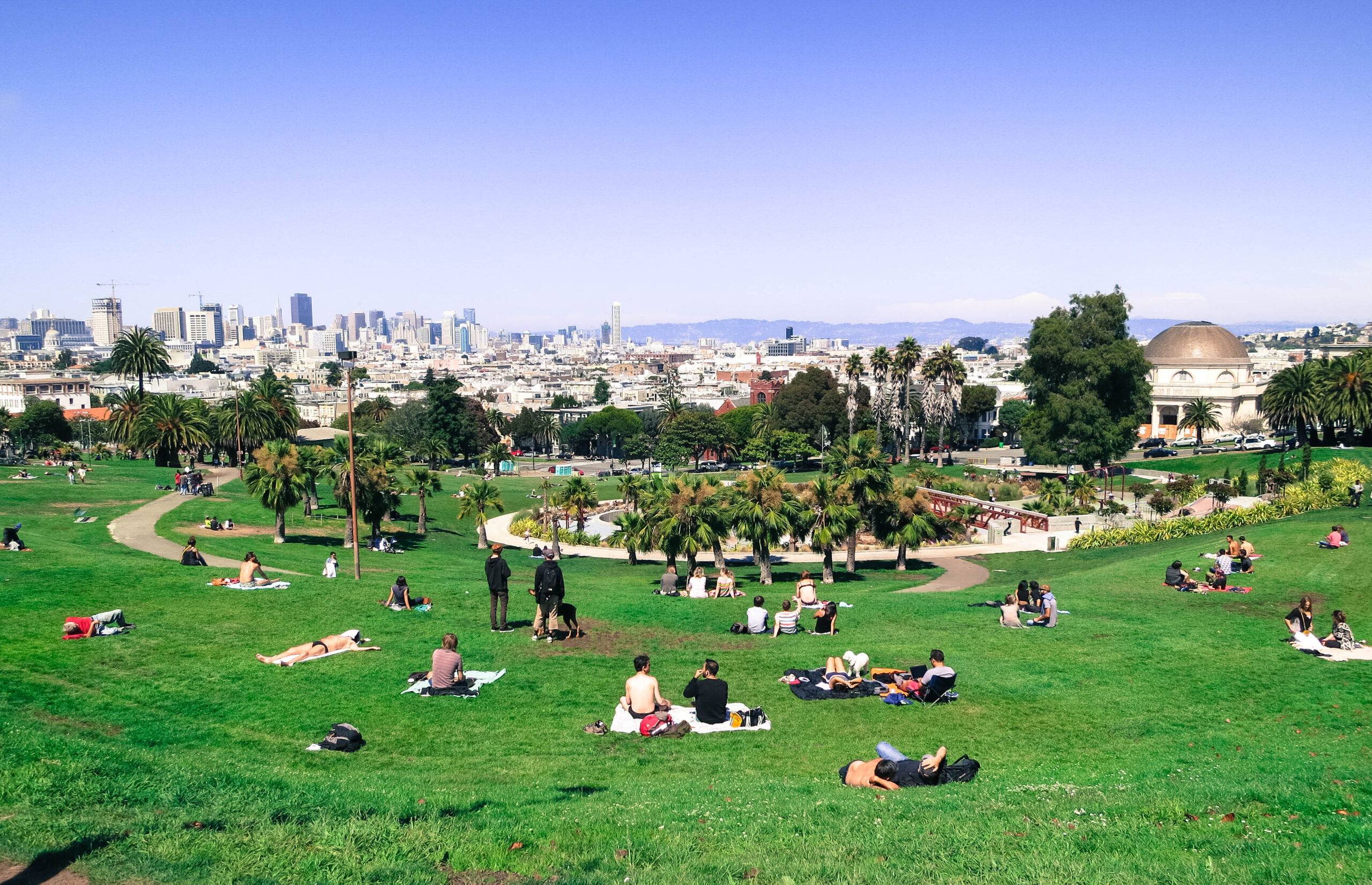 a panoramic shot of the park on a beautiful day