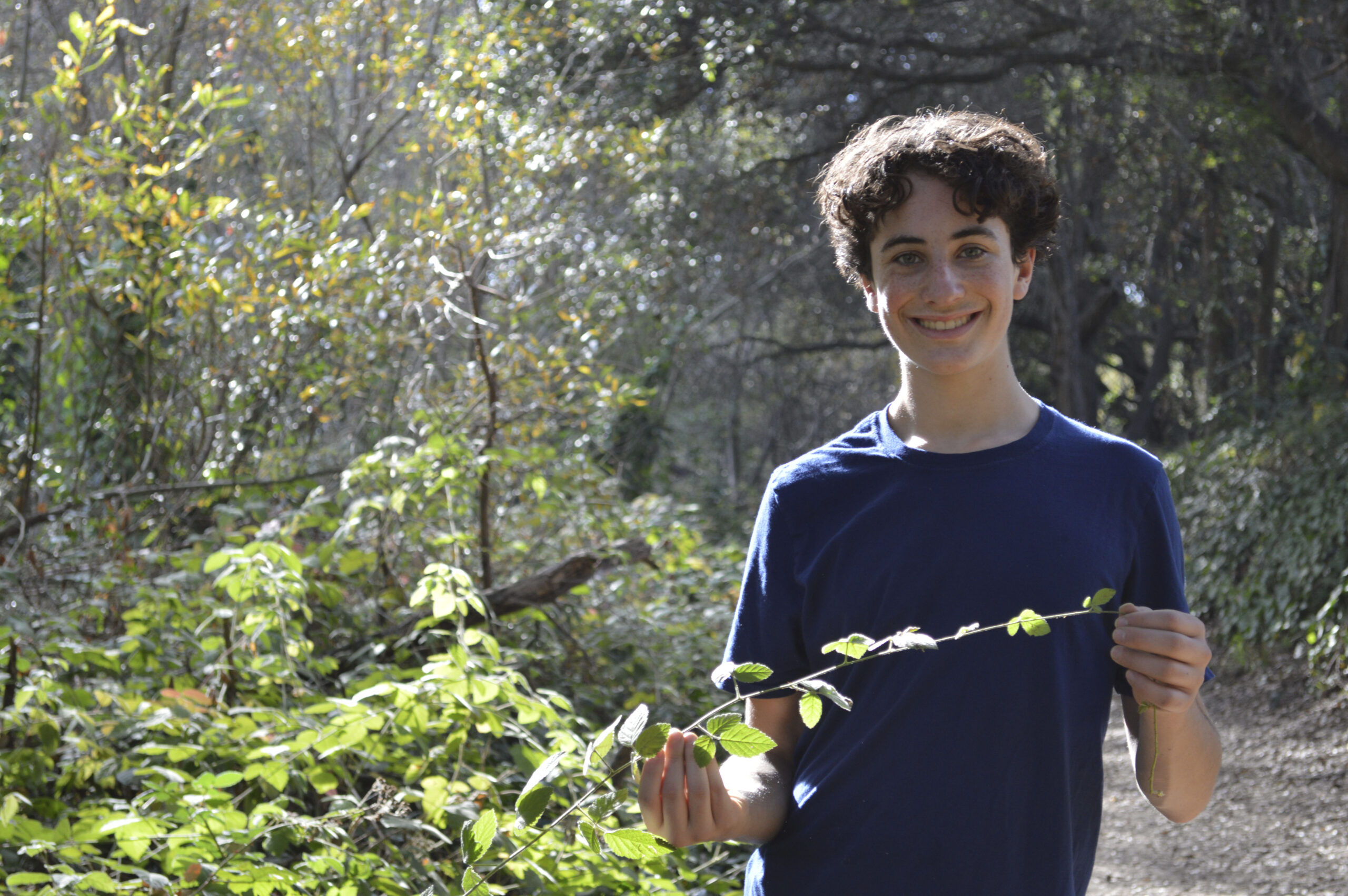 Levi Glatt foraging for herbs in Santa Cruz. (Photo/Rena Durbin)