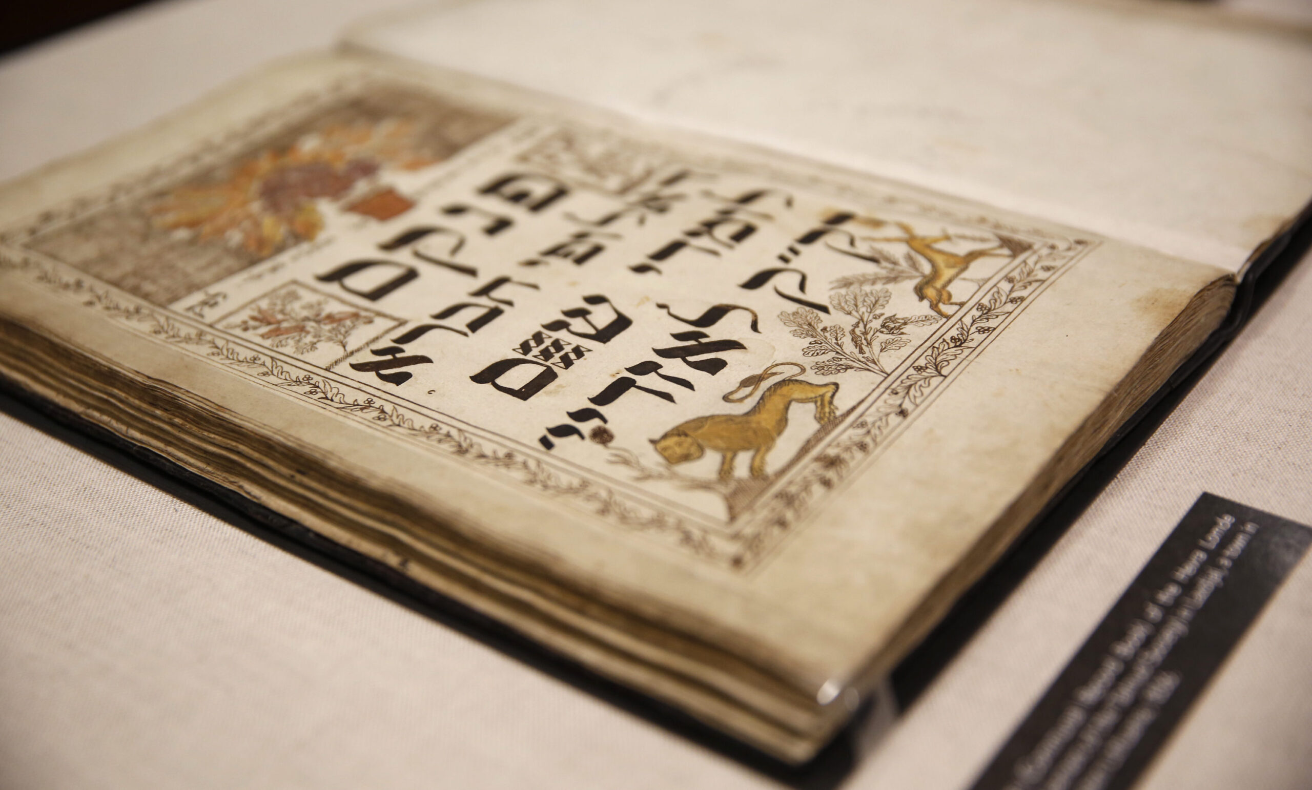 YIVO announced last month the discovery of 170,000 Jewish documents that were thought to be destroyed by the Nazis. (Photo/JTA-Thos Robinson-Getty Images for YIVO)