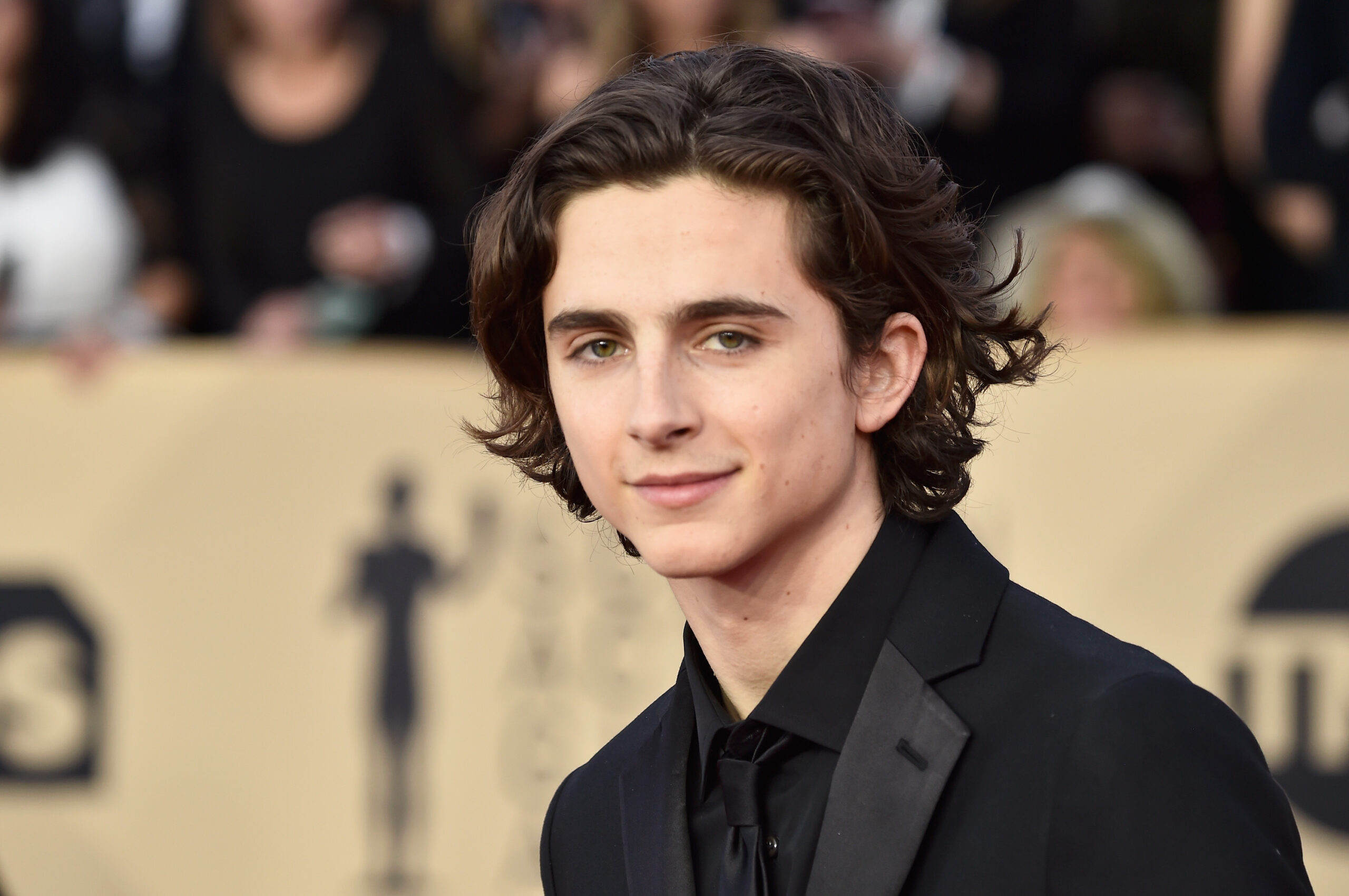 Timothee Chalamet, the Jewish actor up for best actor this year, shown at the Screen Actors Guild Awards in Los Angeles, Jan. 21, 2018. (Photo/JTA-Frazer Harrison-Getty Images)