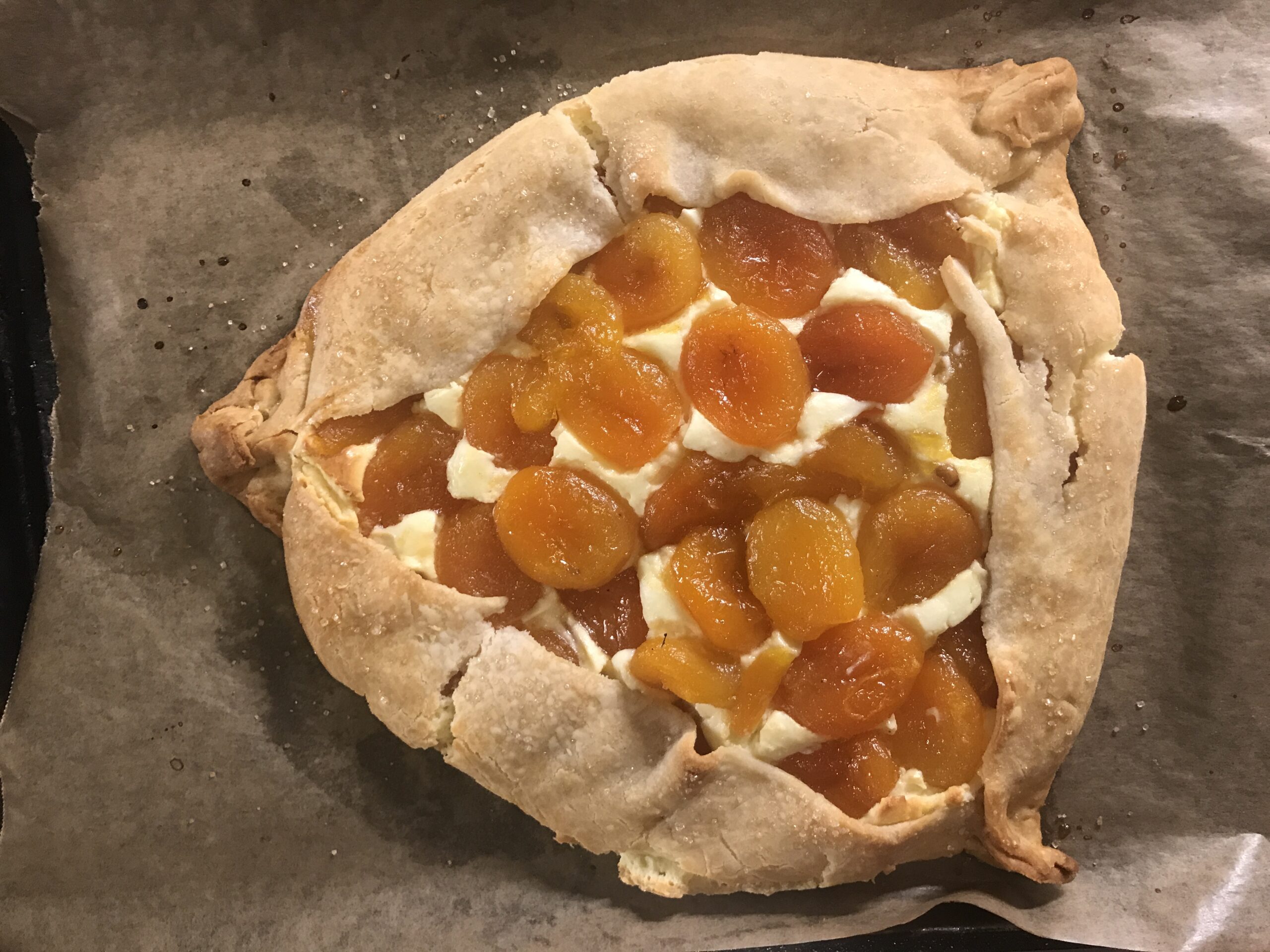 Faith Kramer's Rustic Hamantaschen Tart with Apricots and Goat Cheese Cheesecake Filling (Photo/Faith Kramer)