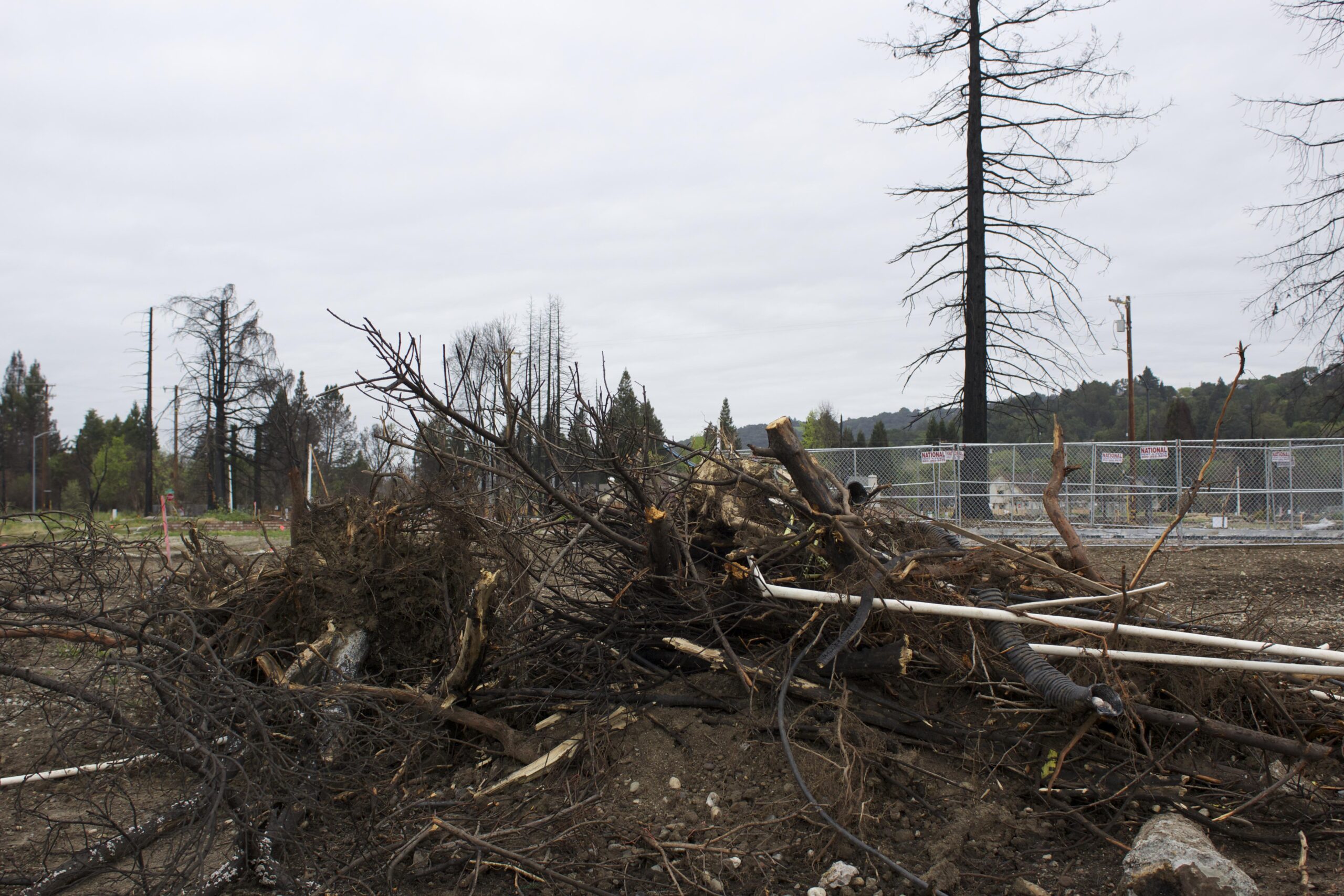 More than six months after the fires, blackened debris can still be seen all over the fire zone. (Photo/Rob Gloster)
