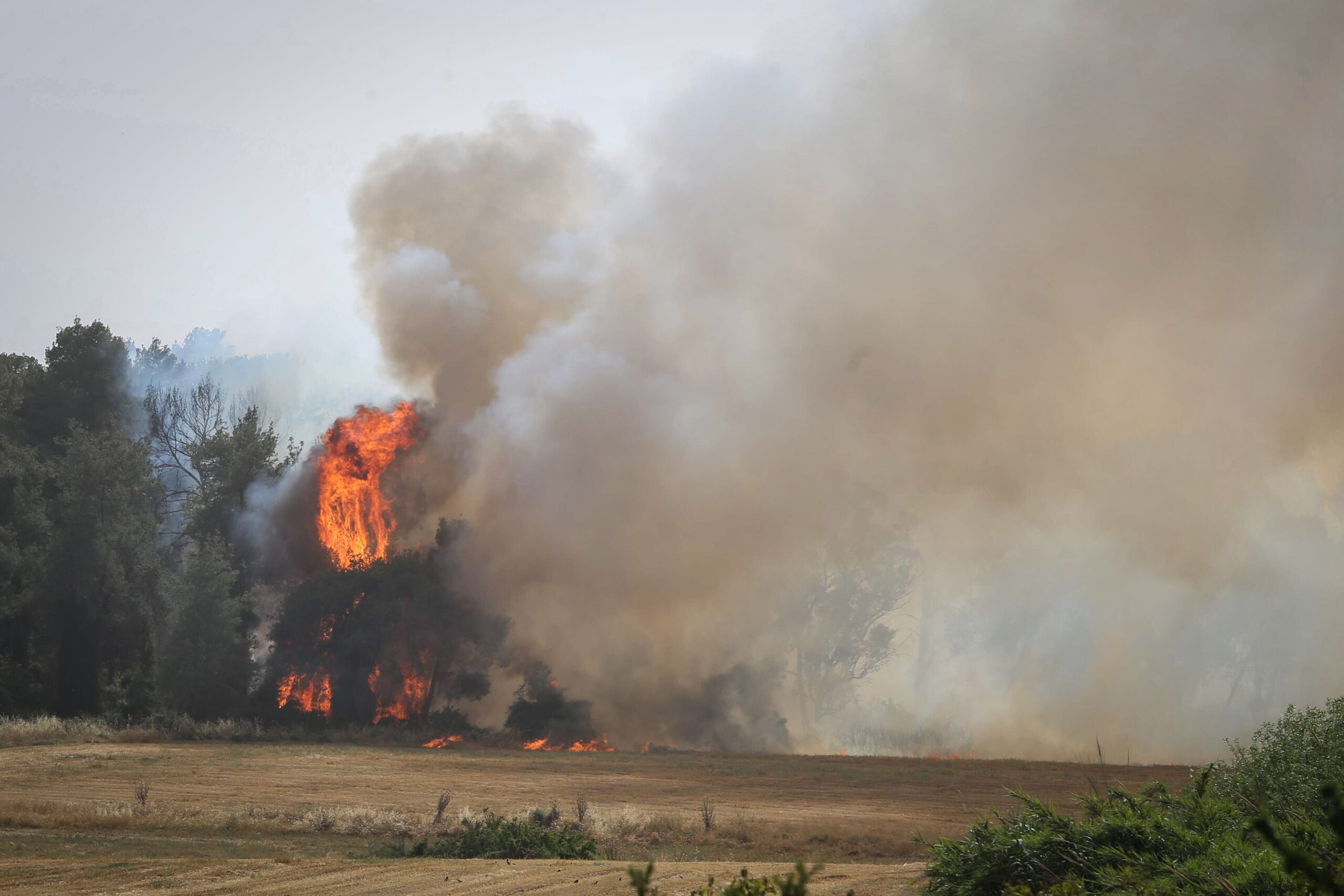 A fire rages in the Ben Shemen Forest in central Israel, May 23, 2019. (Photo/JTA-Flash90)