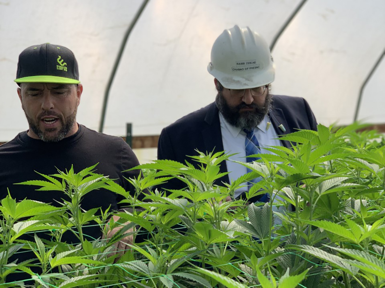 Cali Kosher owner Darron Silva (left) looks over his crop with Rabbi Levy Zirkind. (Photo/Courtesy Cali Kosher)