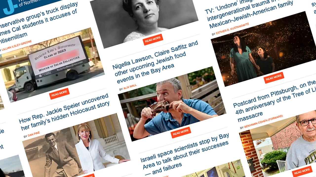 an array of screenshots from the newsletter