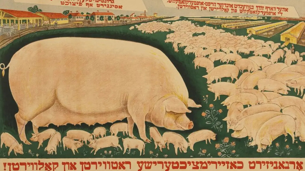 A Yiddish-language Soviet propaganda poster promotes pork production in the 1930s.
