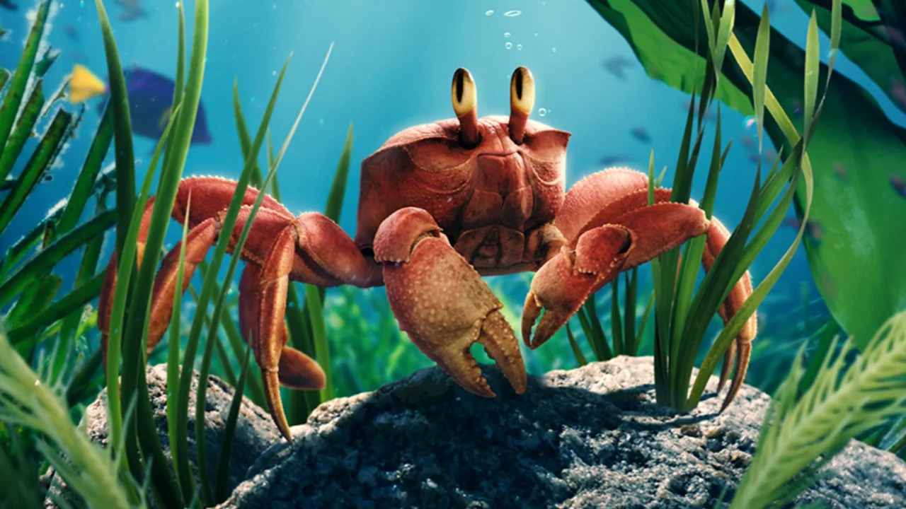 why is sebastian a crab