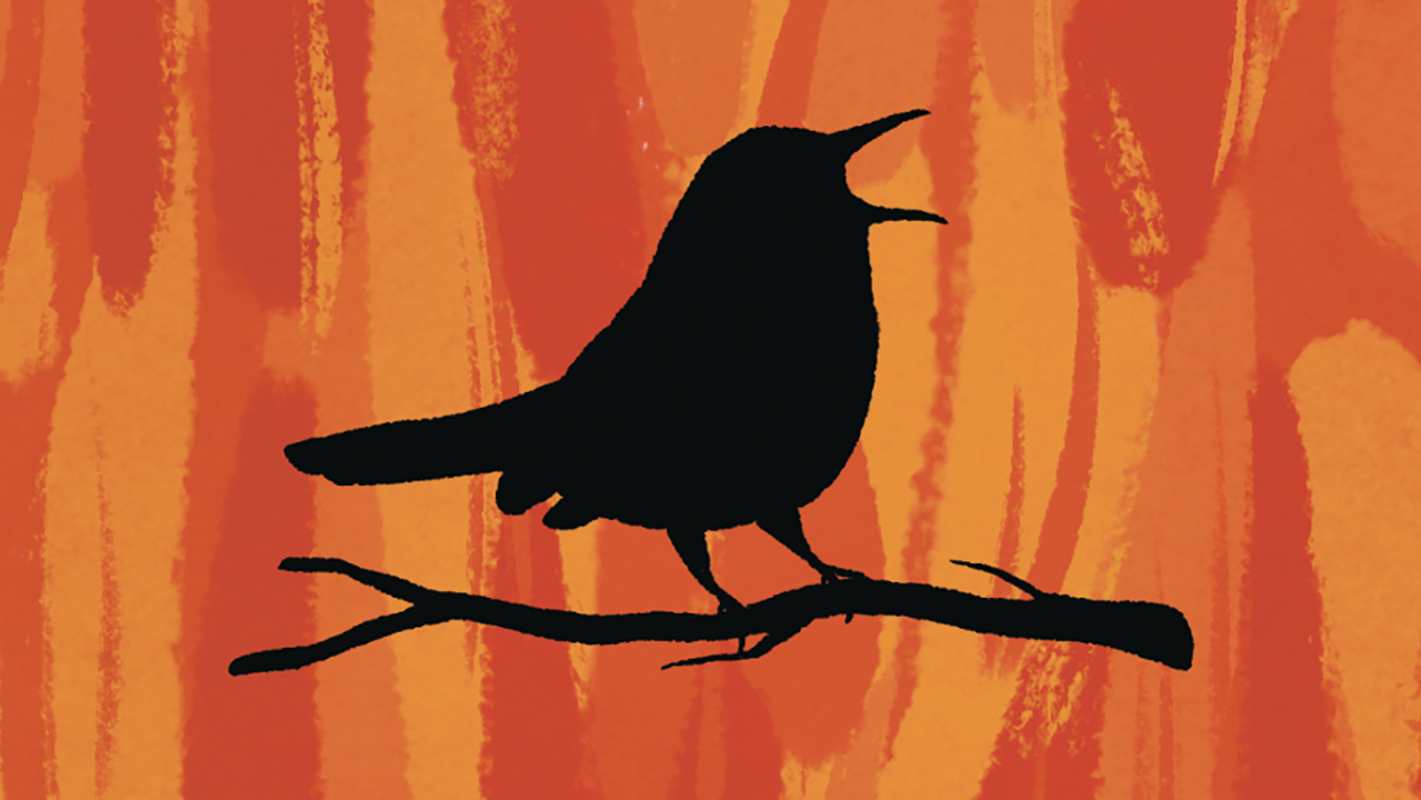 illustration: a black silhouette of a perched bird against a background of flames