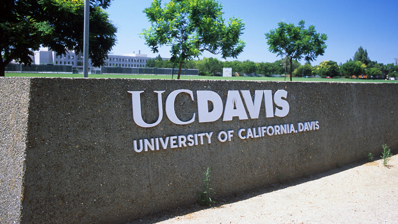 a low cement wall with the words "University of California, Davis" written on it