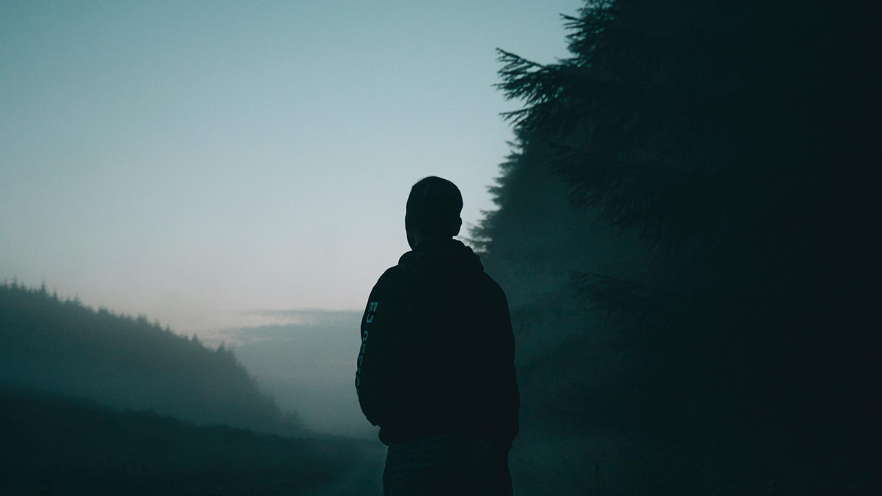 (Photo/Lukas Medvedevas via pexels.com)