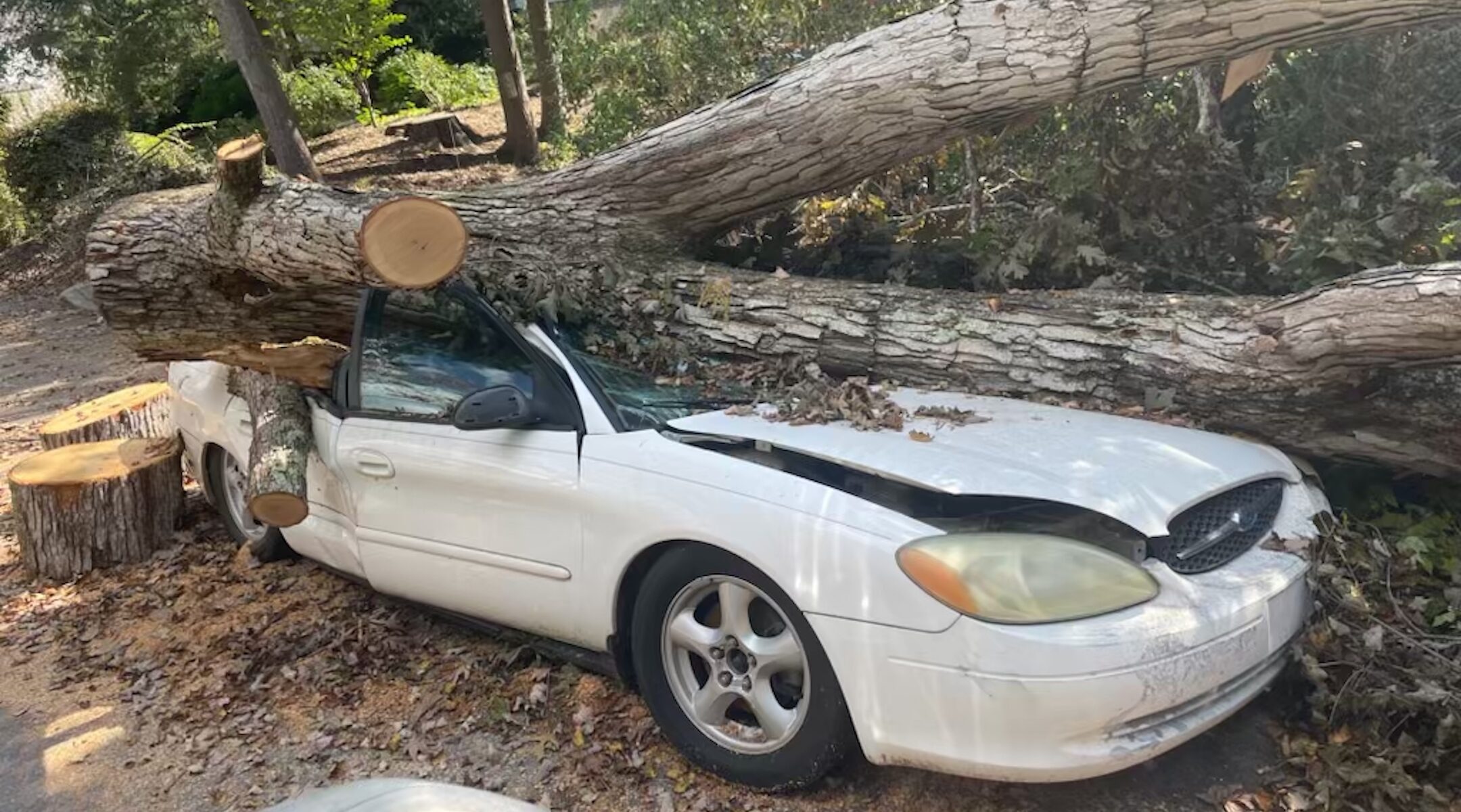 Cars and houses in Asheville, North Carolina, had trees fall on them during Hurricane Helene in September 2024. (Joanie Terrizzi)