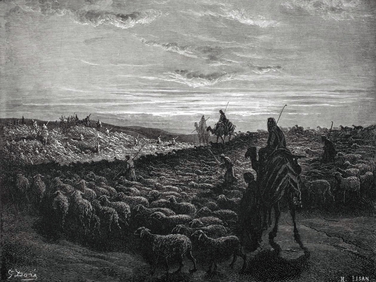 a black and white engraving of a man on a camel traveling with a large flock of sheep