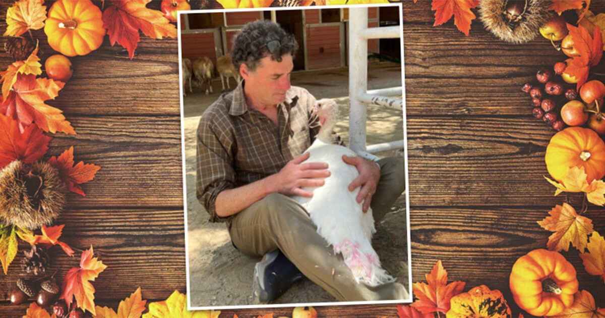 The author sits on the ground hugging a white turkey