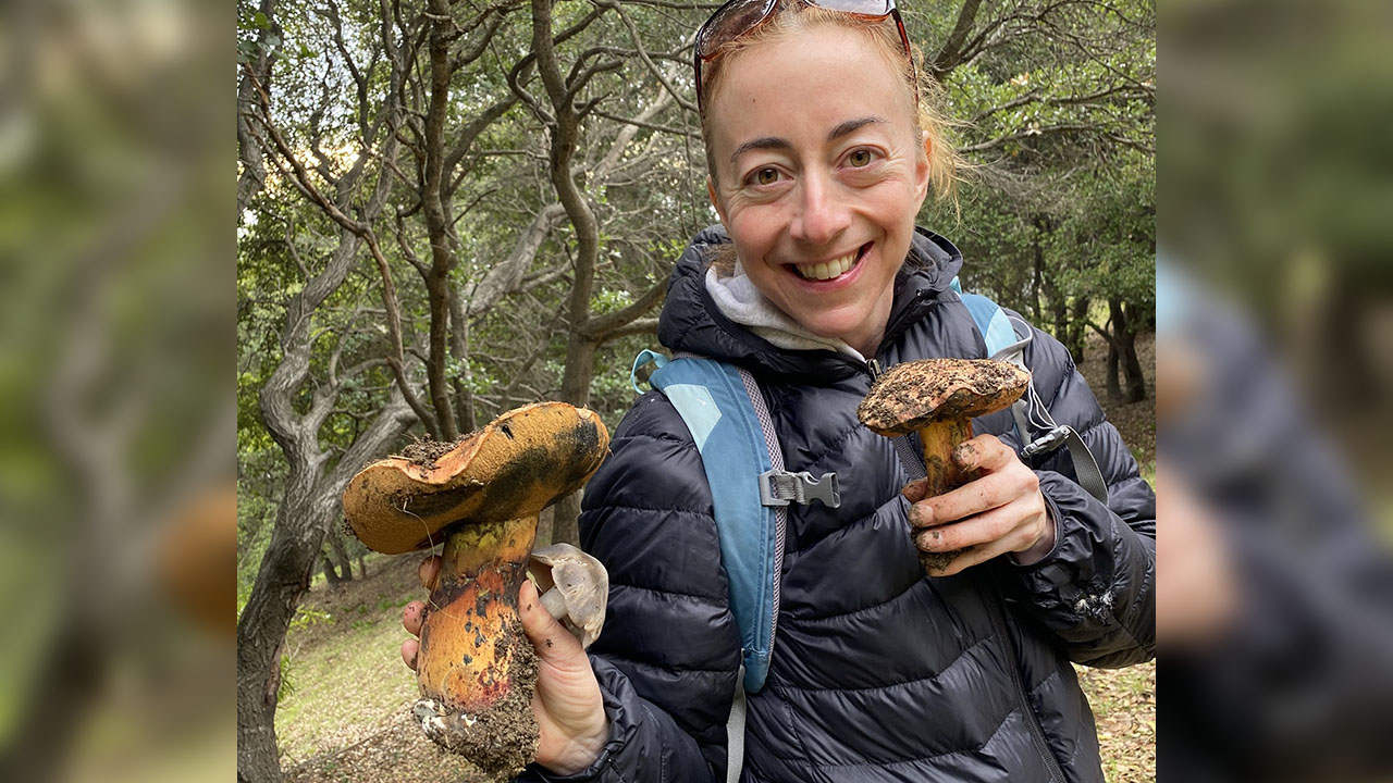 Carrie Staller holds liver boletes mushrooms while foraging. (Sita Davis)