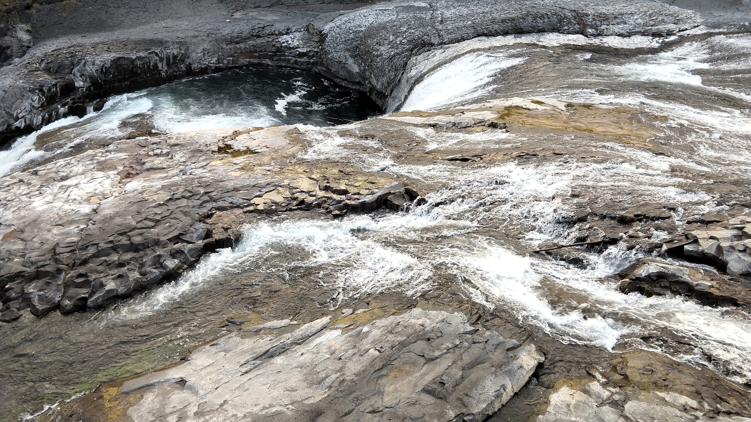 Life is like a river — constantly flowing. (Natalie Weinstein/ J. Staff)