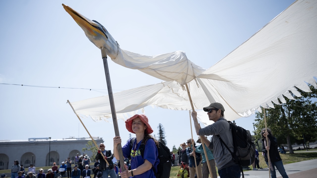 Shona Armstrong (left) holds the head of the peace crane/dove during a rally promoting co-existence between Israelis and Palestinians organized by SFBay4Peace and Bay Area Friends of Standing Together at the Lake Merritt Amphitheater in Oakland on May 3, 2025. (Aaron Levy-Wolins/J. Staff)