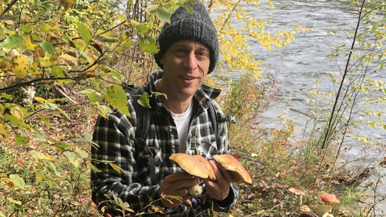 Man holds large mushrooms