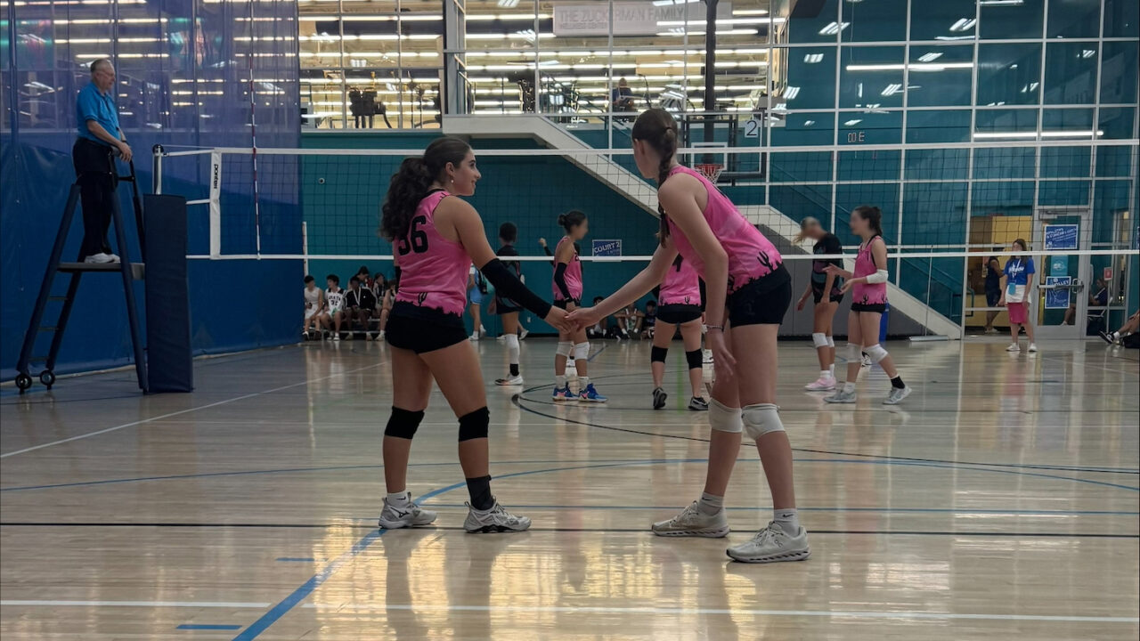 volleyball players