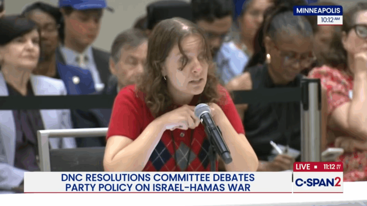 Allison Minnerly, DNC member, speaks