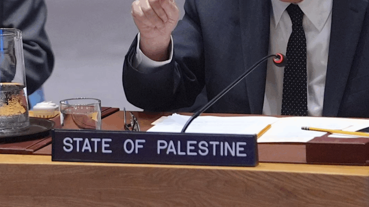 The Palestinian ambassador to the United Nations