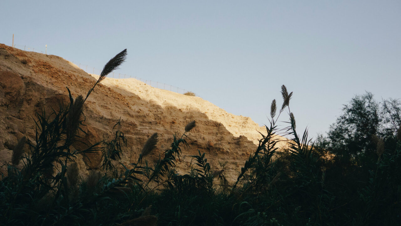 Israel's landscape