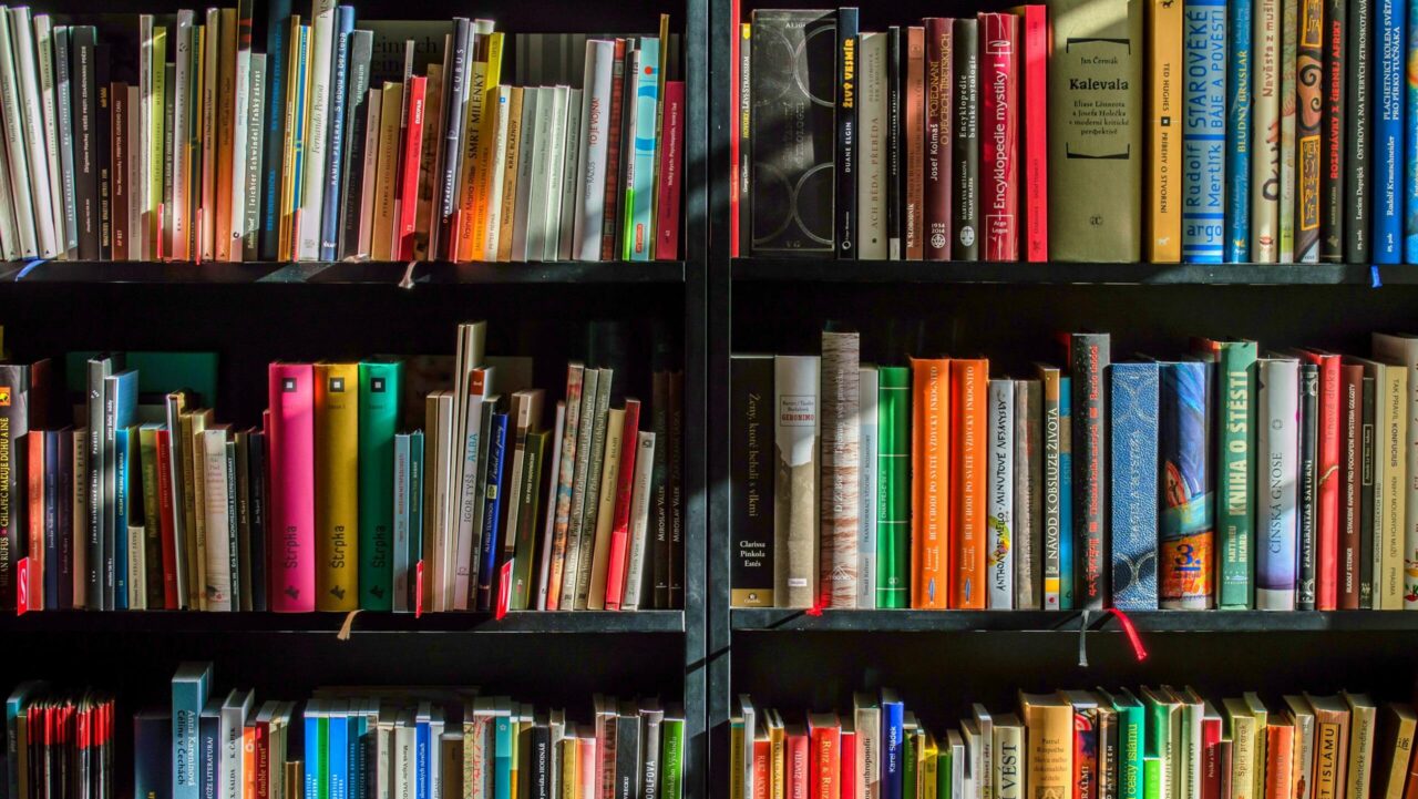 Vibrant collection of books on shelves for reading, research, and education.