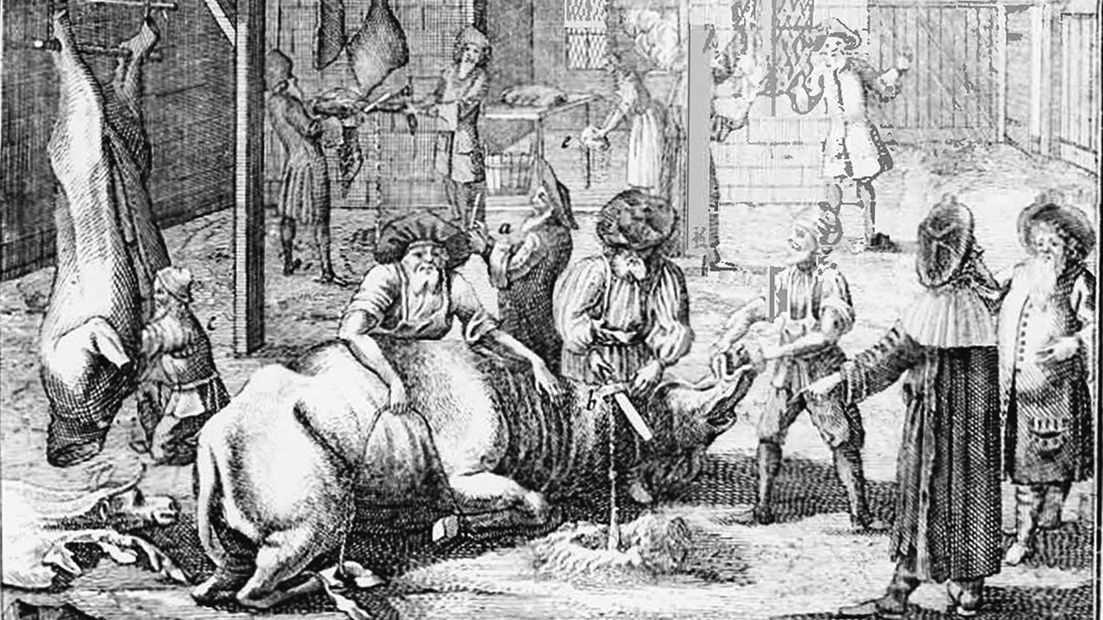 A depiction of the Jewish community slaughterhouse in a courtyard in Fürth, Germany. (Paul Christian Kirchner, Jüdisches Ceremoniel [Jewish Ceremonies], ed. Sebastian Jacob Jungendres (Nuremberg, 1724))