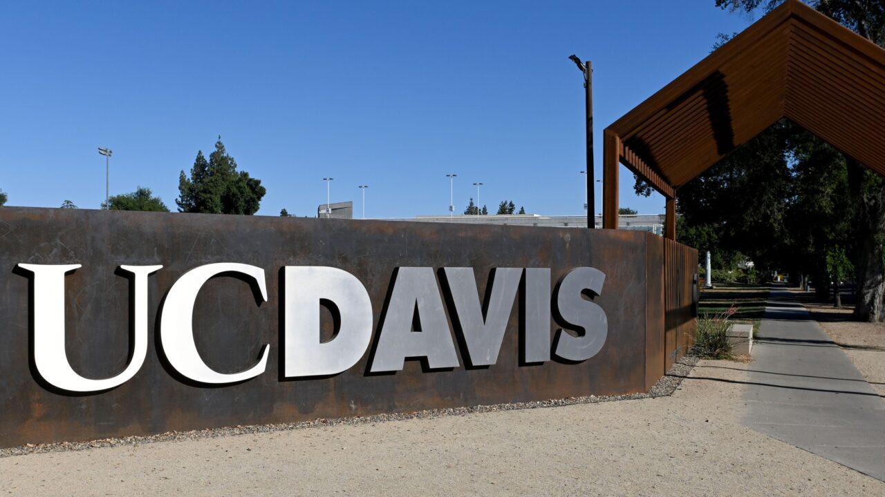 The climate at UC Davis has been highly polarized since the Hamas attack and outbreak of the Israel-Hamas war on Oct. 7, 2023. (Photo/Aaron Levy-Wolins)