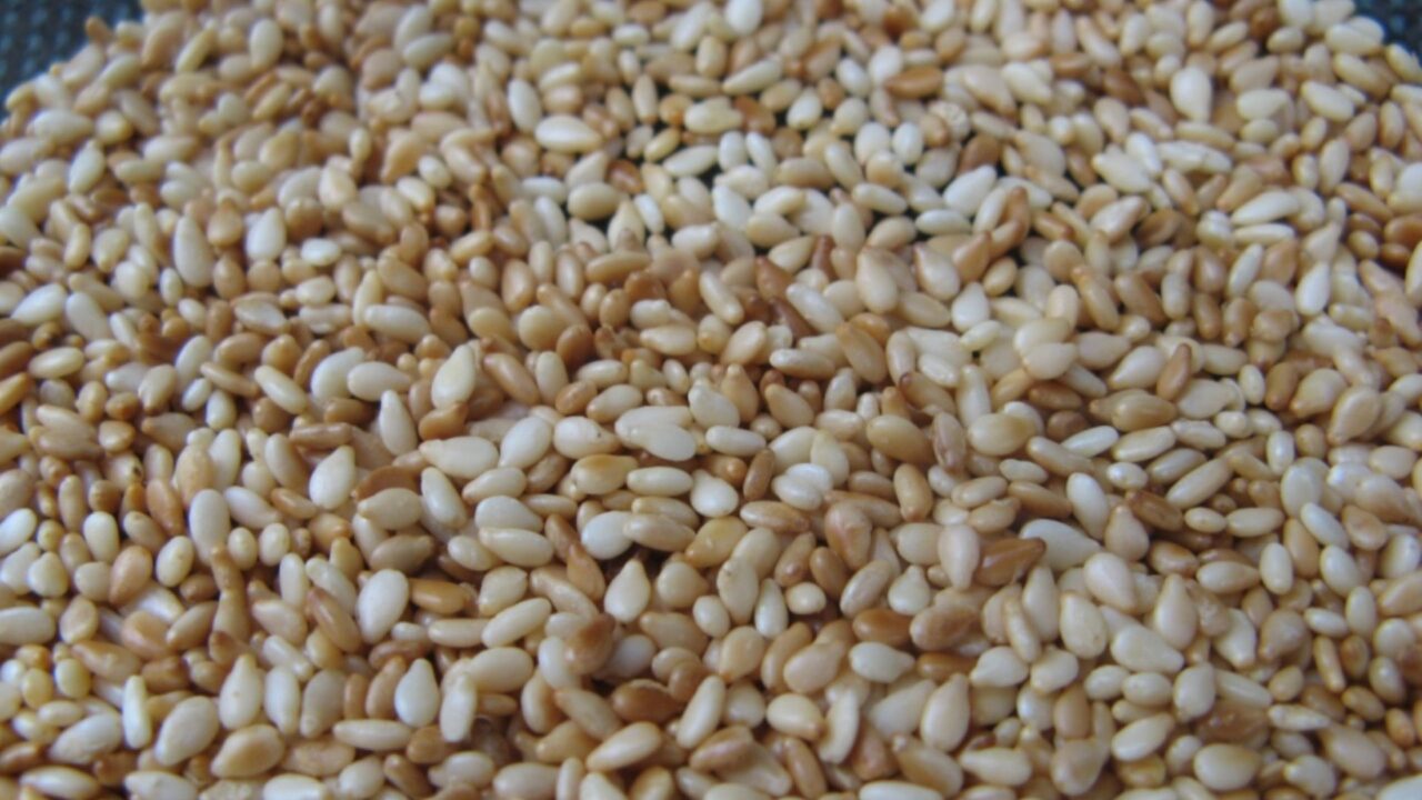 Sesame seeds