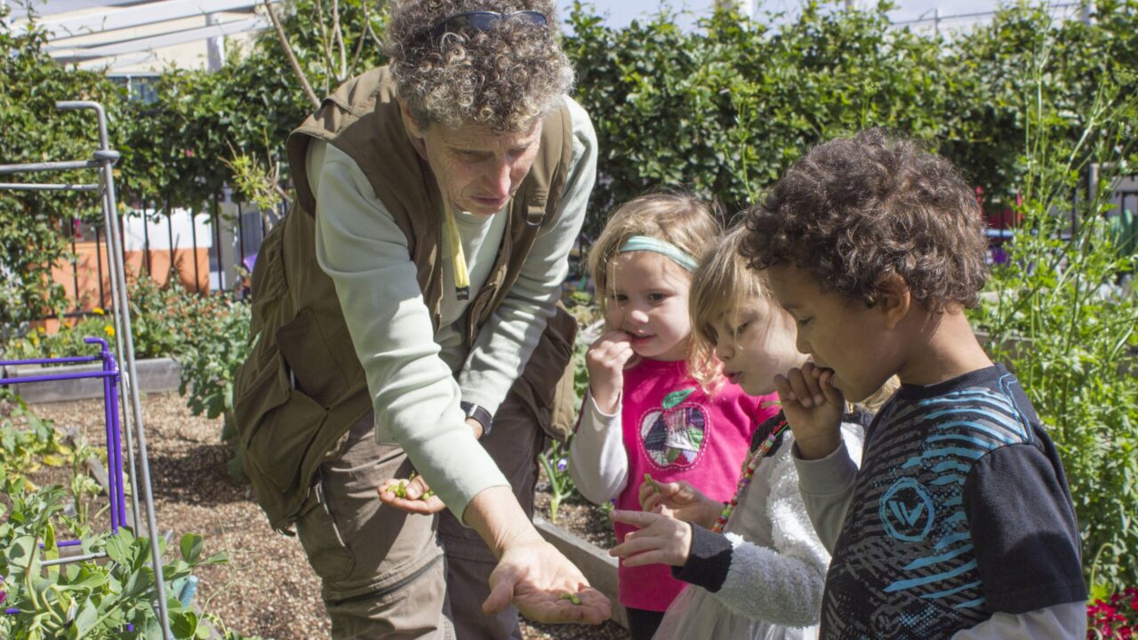 Debbie Togliatti hands preschoolers fresh peas from the garden. (Courtesy OFJCC)